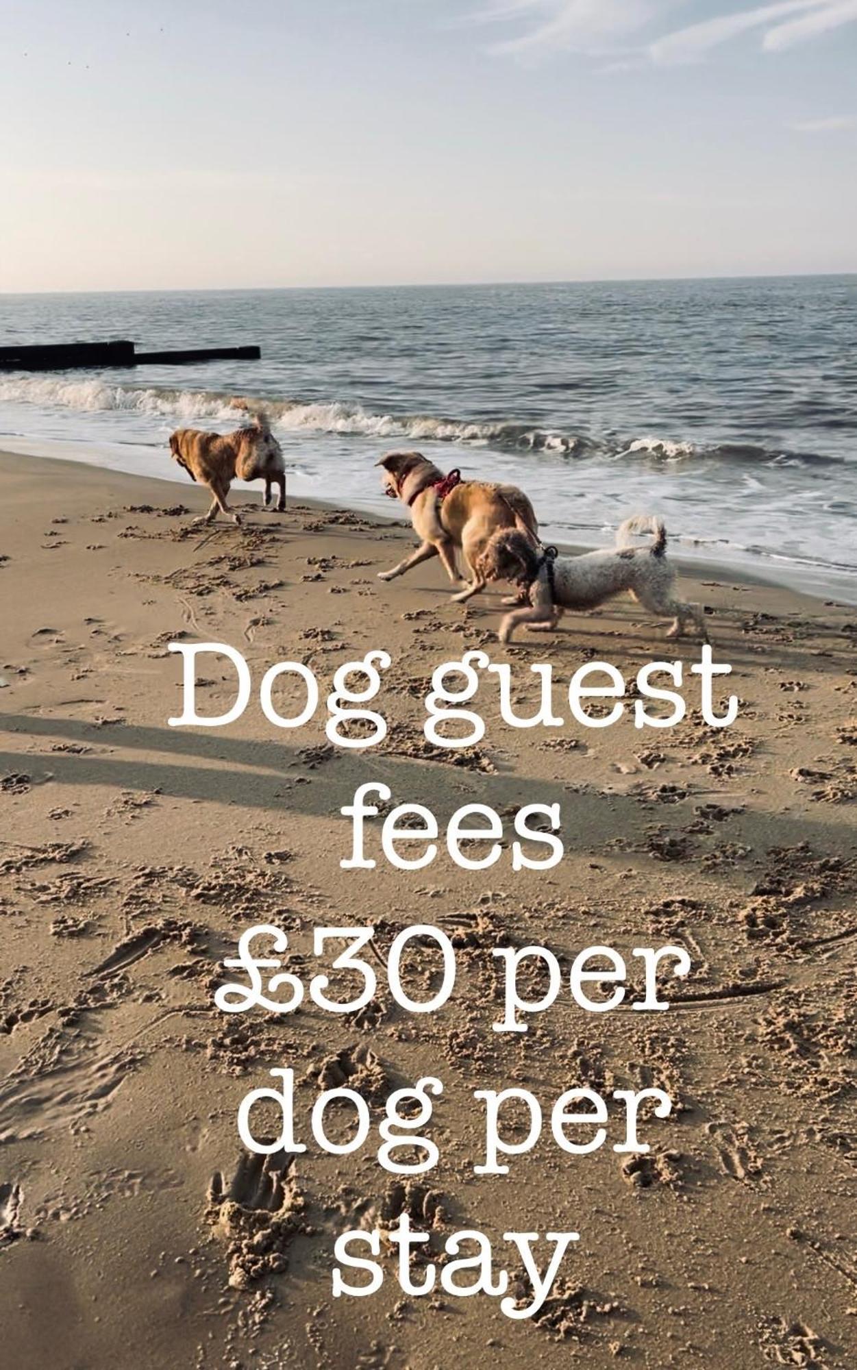 Dog Friendly Cottage 2 Mins To Beach With Hot Tub And Zappi Ev Lessingham Exterior photo